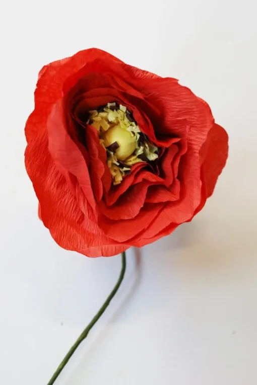 Paper Flower, Ice Poppy