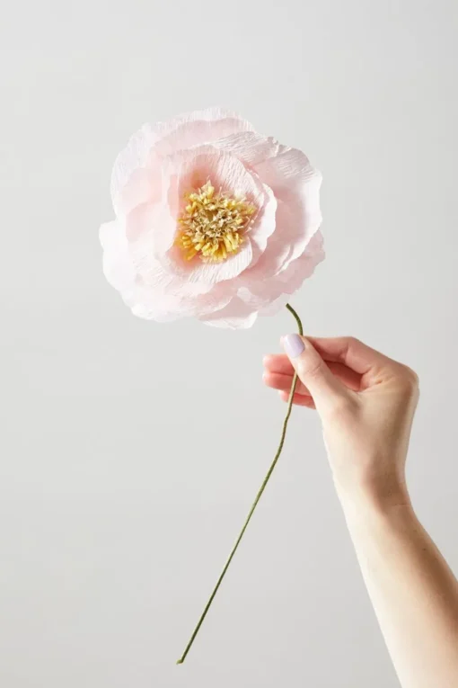 Paper Flower, Ice Poppy