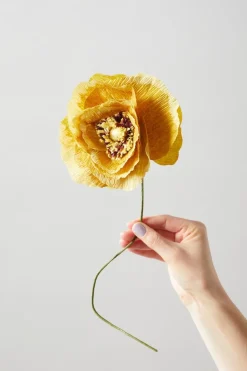Paper Flower, Ice Poppy