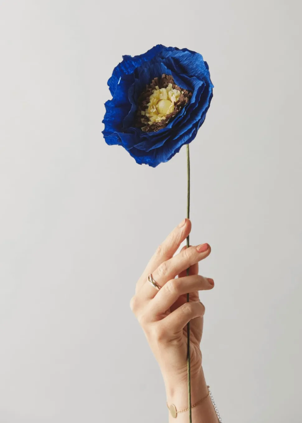 Paper Flower, Ice Poppy