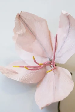 Paper Flower, Lily