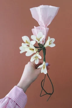 Paper Flower, Morning Glory