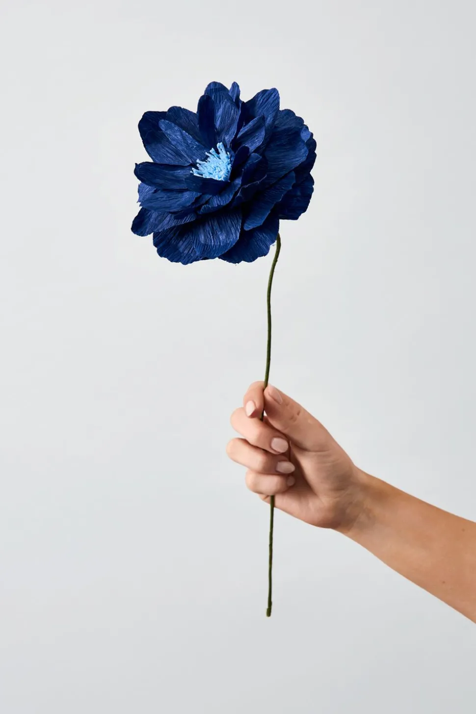 Paper Flower, Oriental Poppy