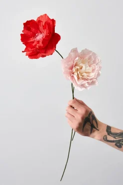 Paper Flower, Oriental Poppy