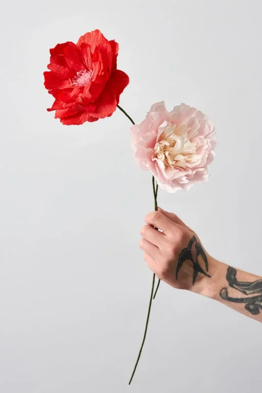 Paper Flower, Oriental Poppy