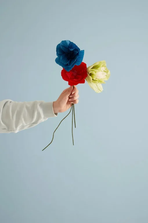 Paper Flower, Oriental Poppy