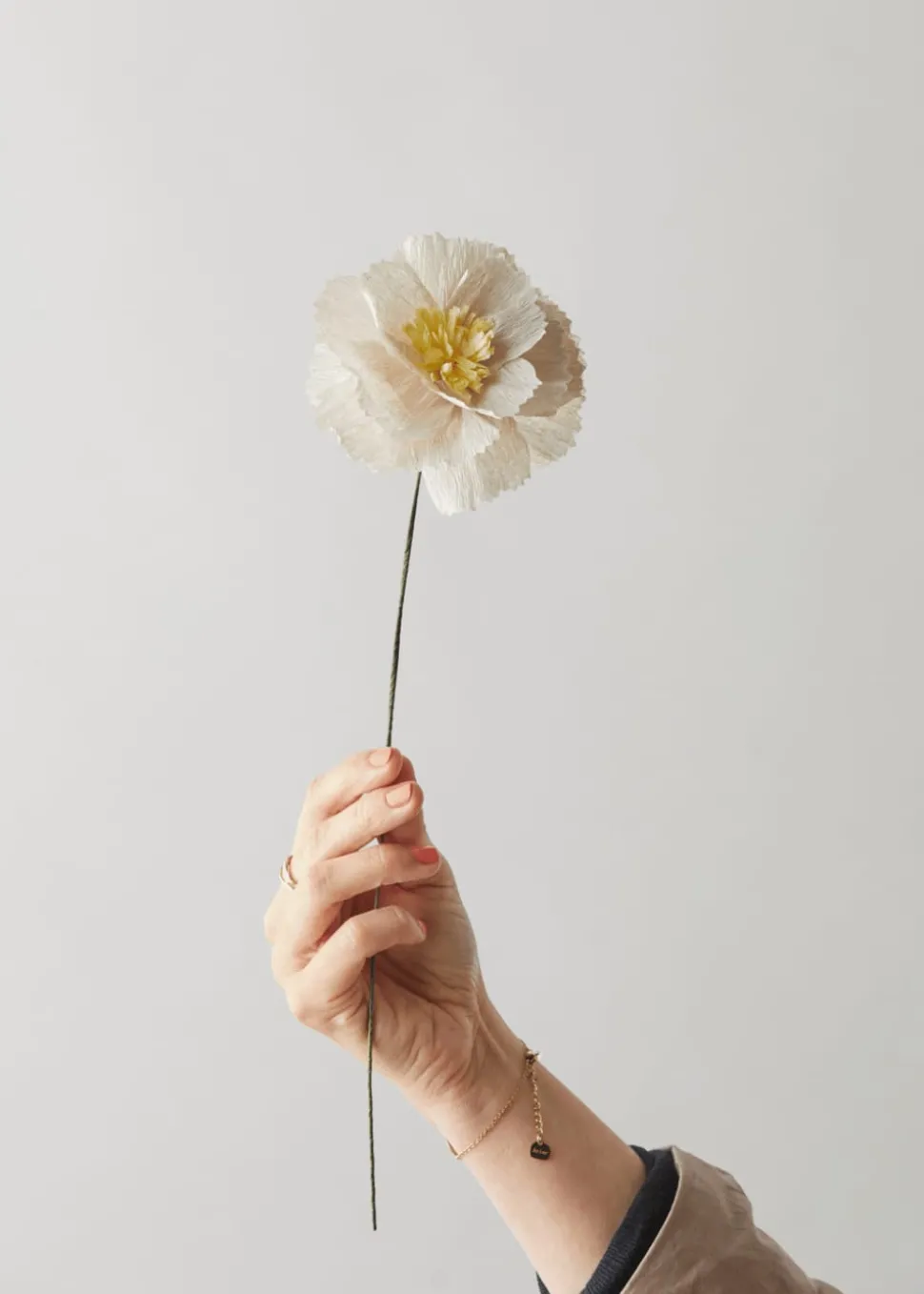 Paper Flower, Peony