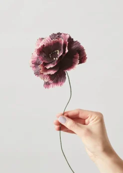 Paper Flower, Peony