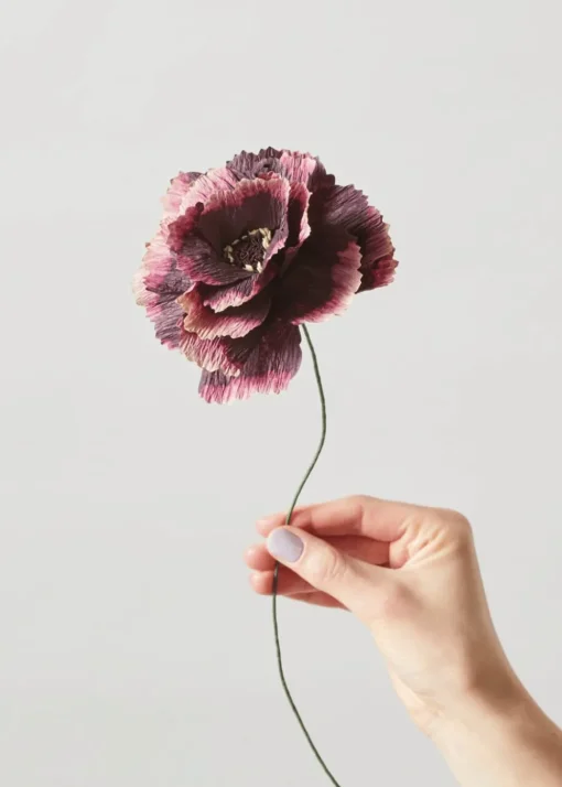 Paper Flower, Peony