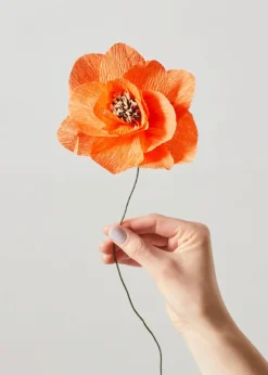 Paper Flower, Poppy