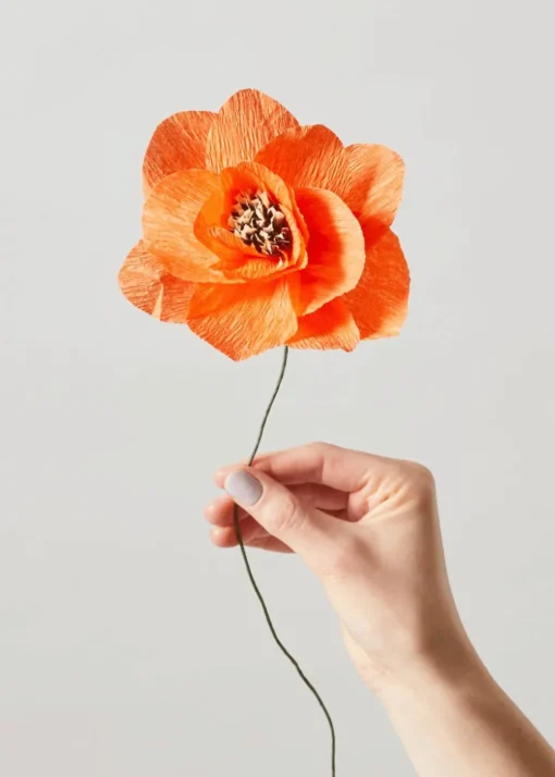Paper Flower, Poppy