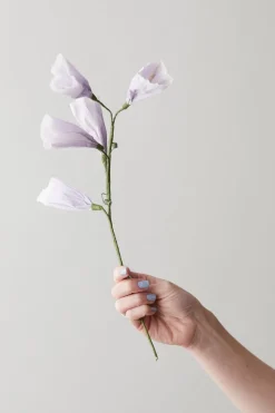 Paper Flower, Tinkerbell