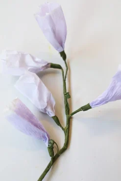 Paper Flower, Tinkerbell