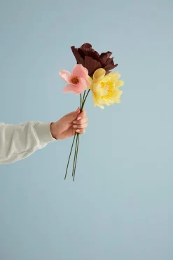 Paper Flower, Windflower