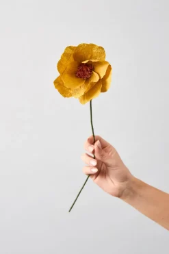 Paper Flower, Windflower