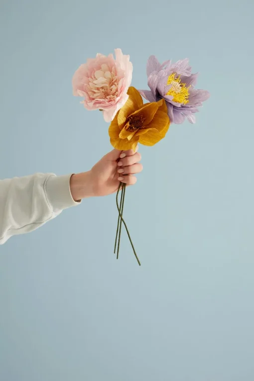 Paper Flower, Windflower