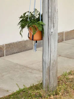 Phanta Plant Hanger