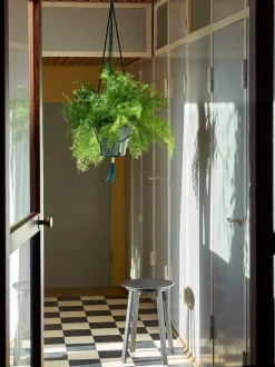 Phanta Plant Hanger
