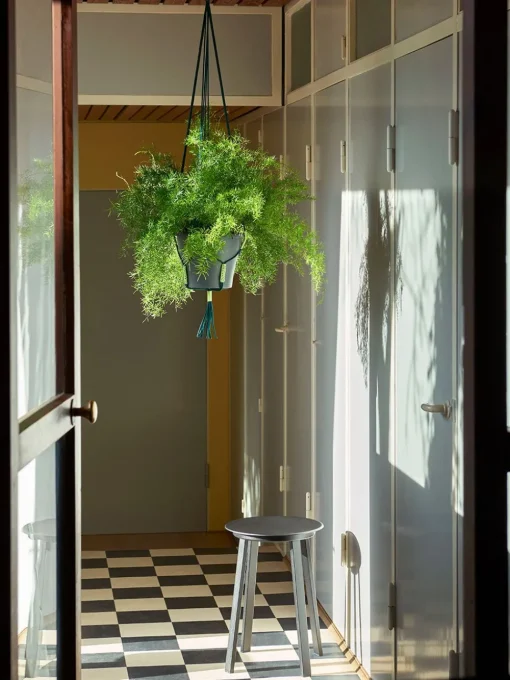 Phanta Plant Hanger