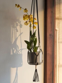 Phanta Plant Hanger