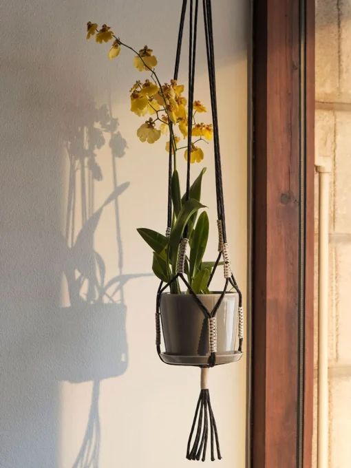 Phanta Plant Hanger