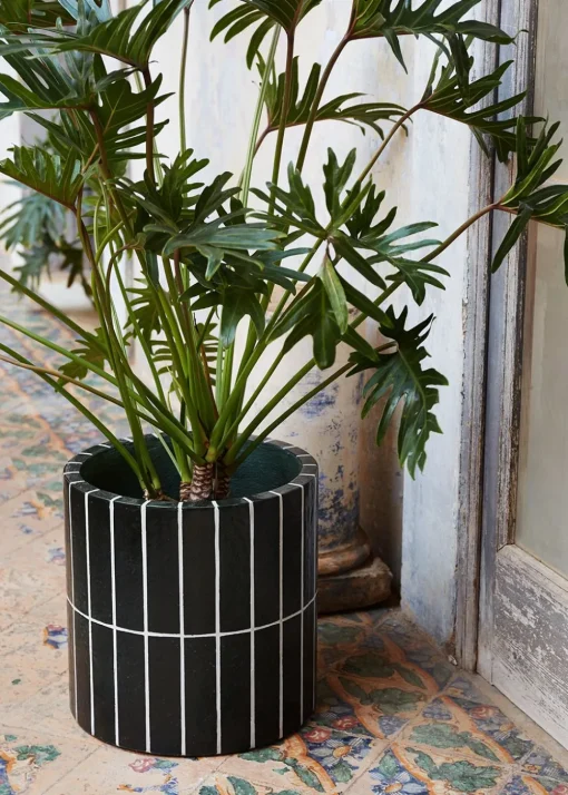 Pillar Plant Pot