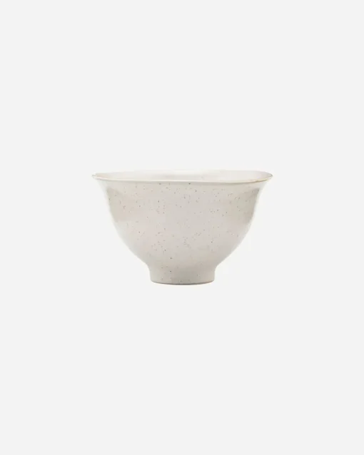 Pion