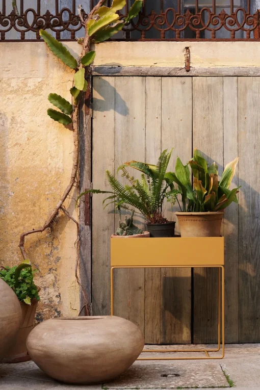 Plant Box