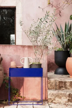 Plant Box