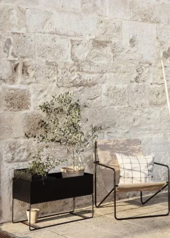 Plant Box - Large