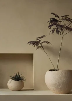 Plantas Planter