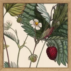 Plants #SQ109