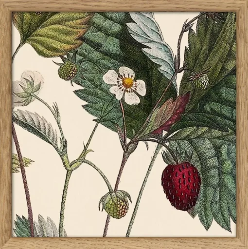 Plants #SQ109