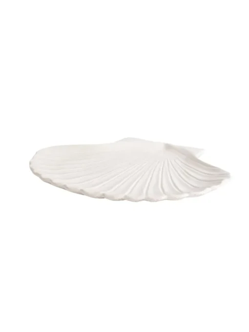 Plate Shell Xl