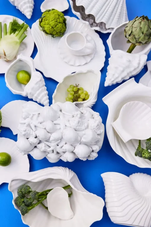 Plate Shell Xl