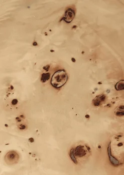 Post Coffee Table - Poplar Burl Veneer