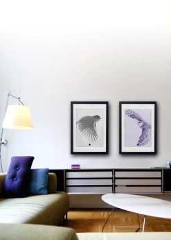 Purple Owl Limted Edition