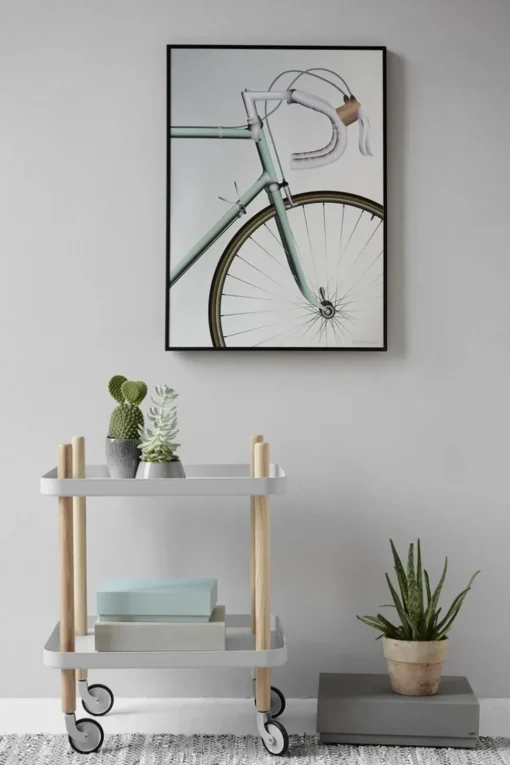 Racing Bicycle