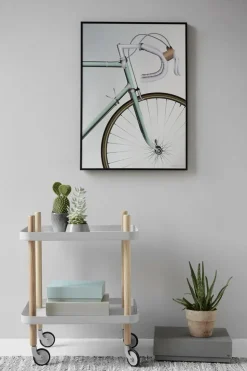 Racing Bicycle