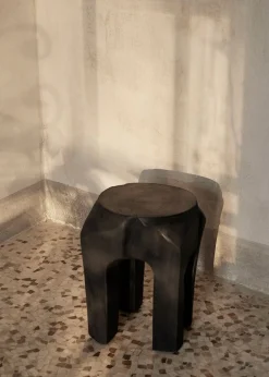 Root Stool