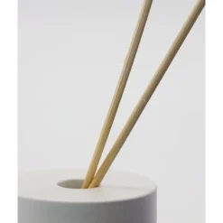 Scent freshener with sticks