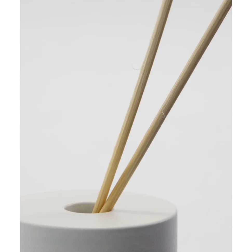 Scent freshener with sticks
