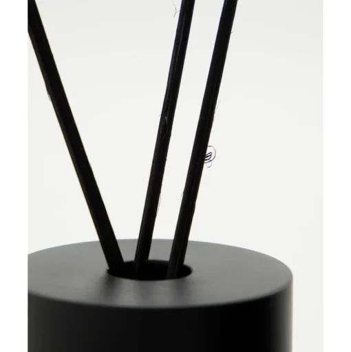 Scent freshener with sticks