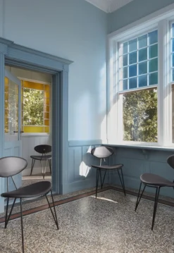 Semper Dining Chair