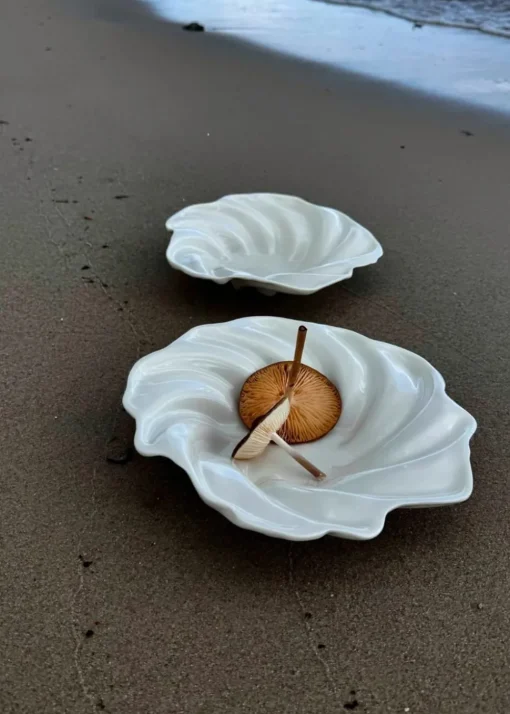 Shell bowl