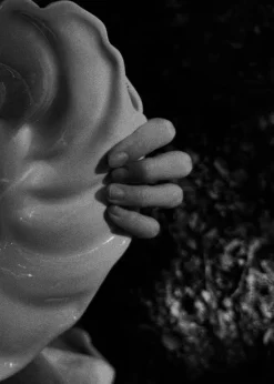 Shell bowl