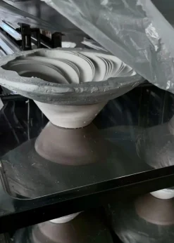 Shell bowl