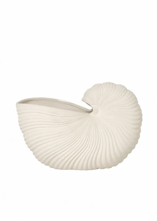 Shell Pot