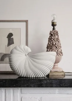 Shell Pot