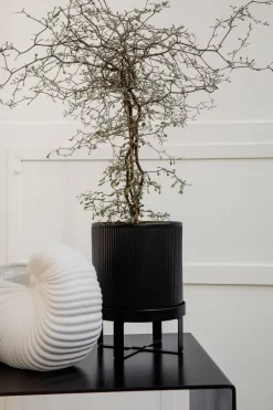 Shell Pot